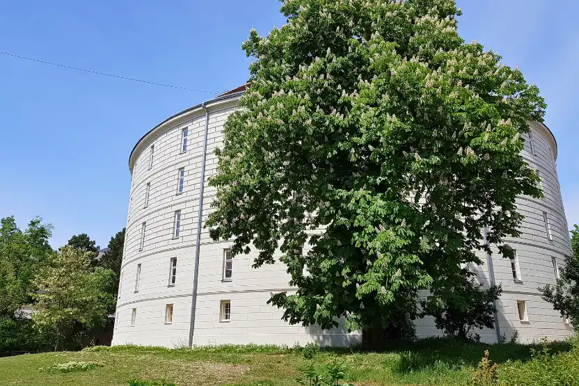 Narrenturm Museum