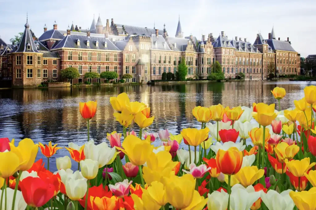 The Dutch Parliament with yellow and orange tulips