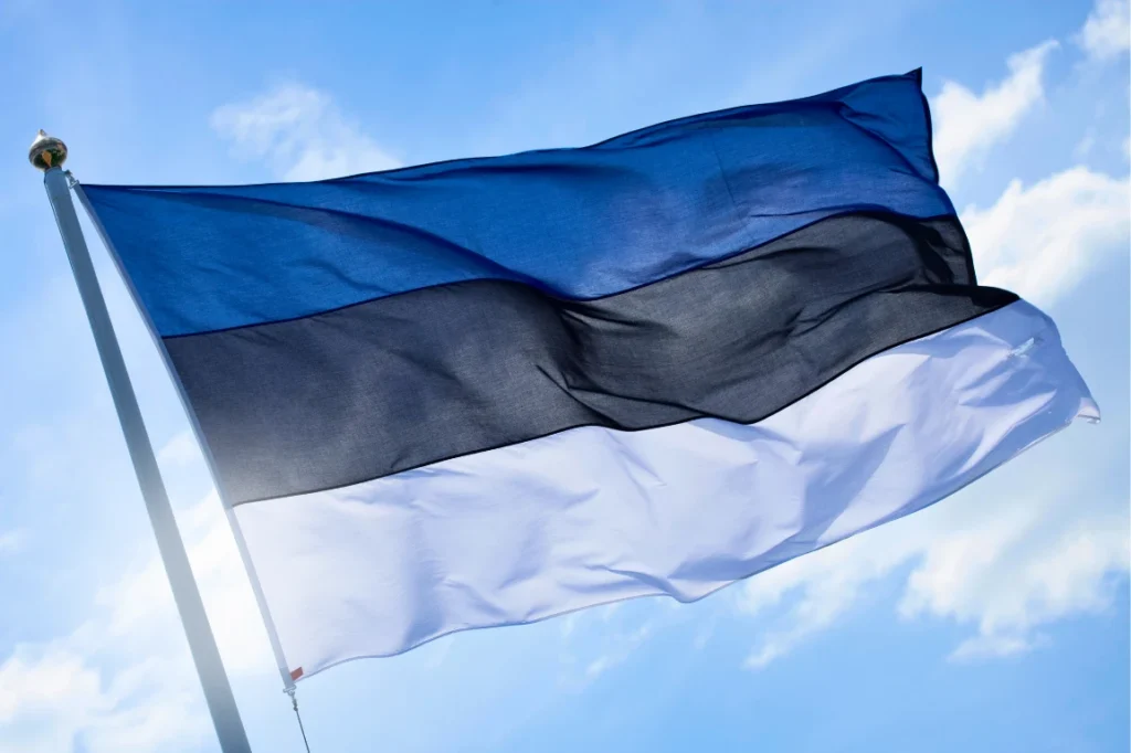 Estonian flag waving in the wind