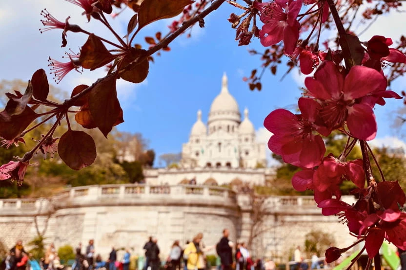 Sacré-Coeur with cherry blossoms and tourists