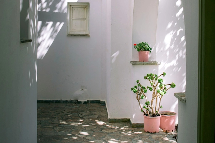 Plants on a patio in Santorini, Greece