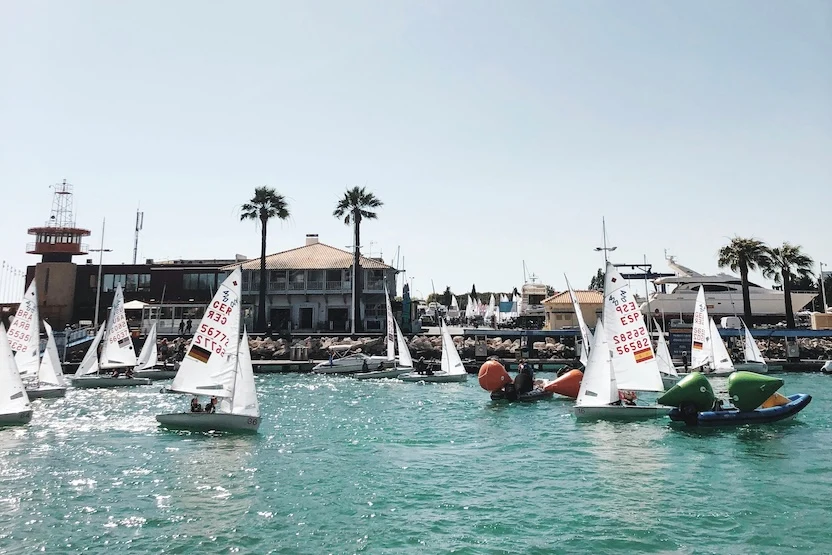 The marina in Faro with small sailboats and palm trees. 