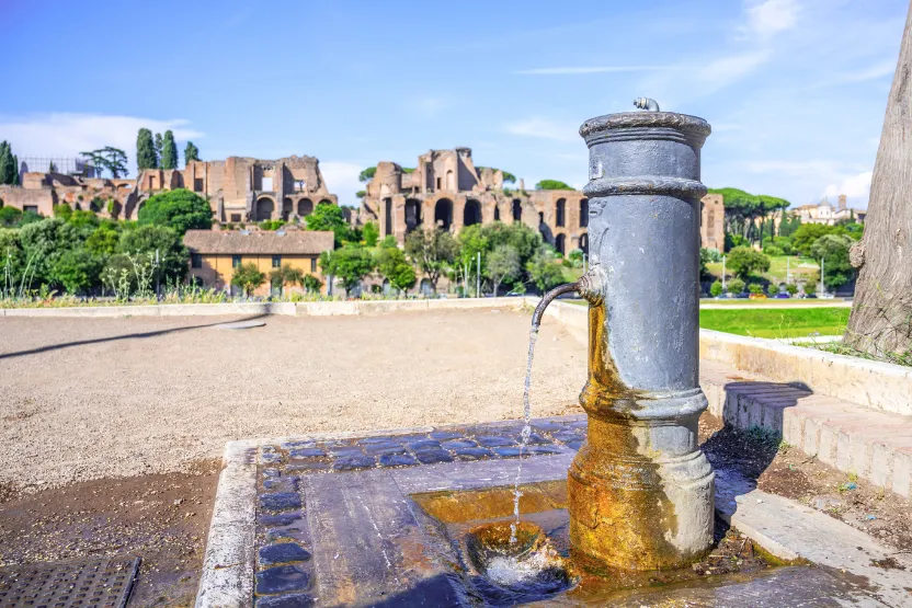Nasoni at the Colosseum. 