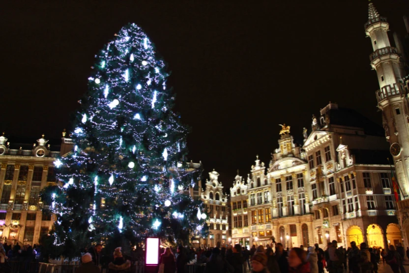 Christmas tree in Brussels, Belgium at night