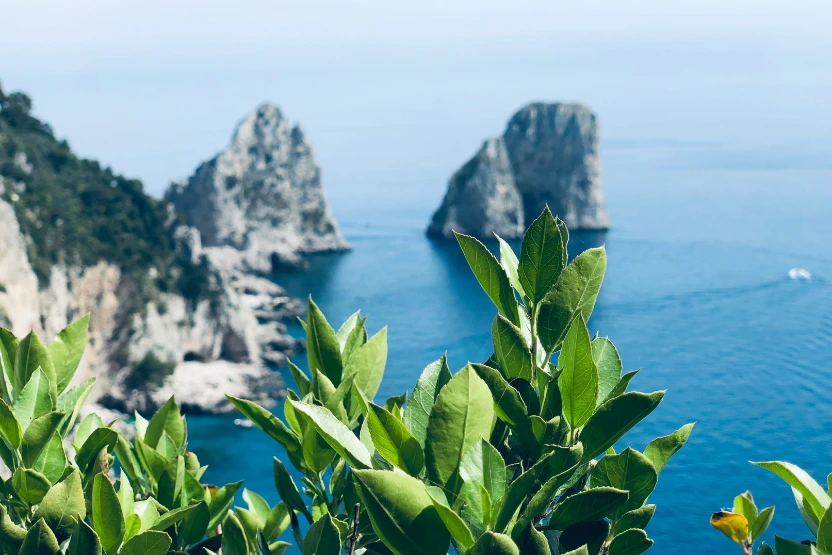 Cliffs of Isola di Capri