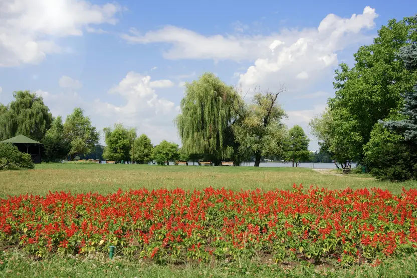 King Michael I Park, Bucharest
