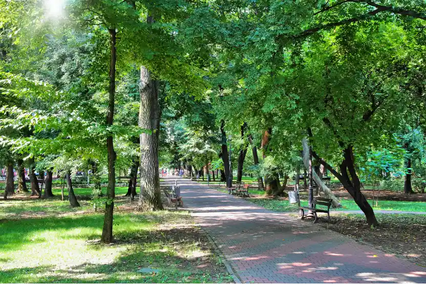 Kiseleff Park