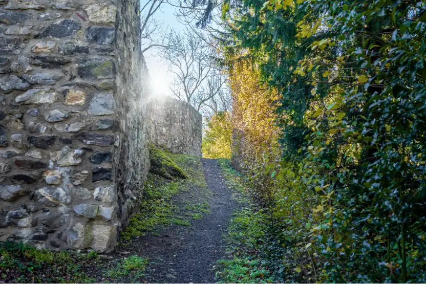 Castle ruins in Schellenberg, Liechtenstein