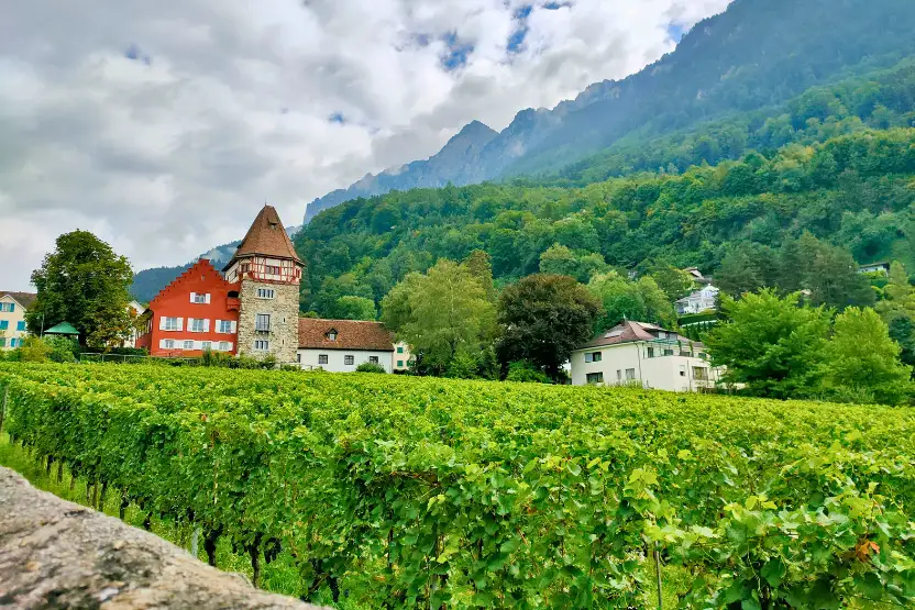 Prince of Liechtenstein's Vineyard & Wine Cellar