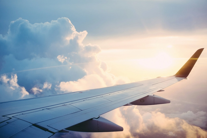 The wing of a plane