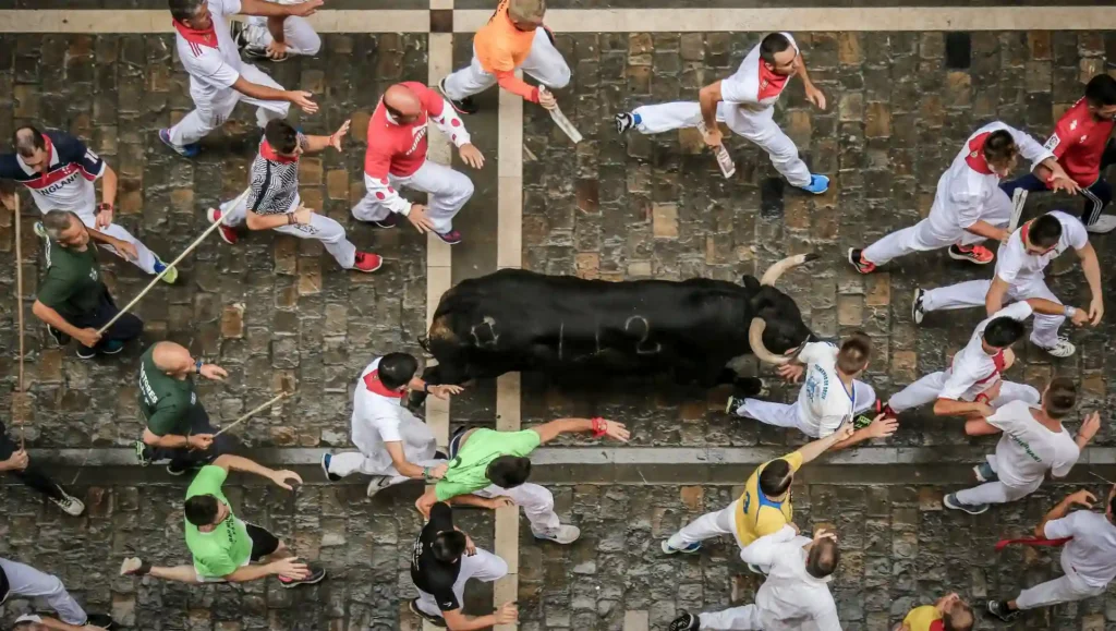 Running with the bulls
